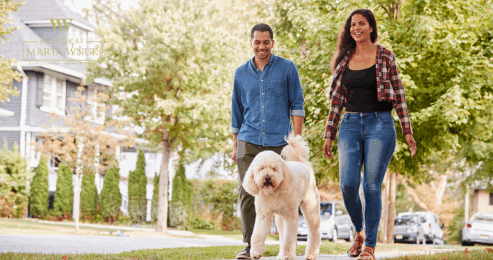 Pies przy rozwodzie – komu przypadnie?